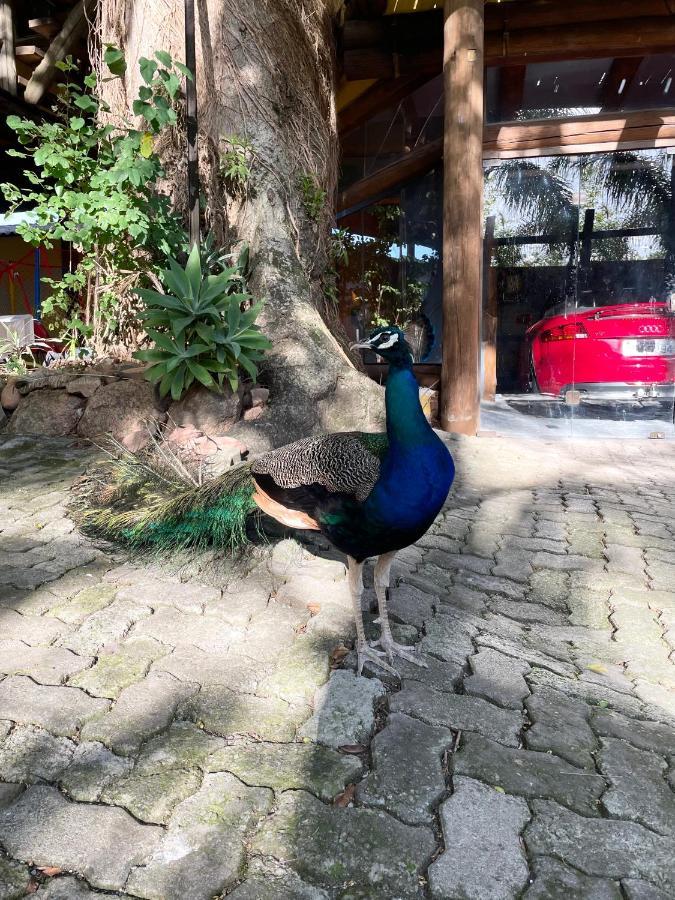Pousada Familiar Casa Amarela São Gabriel Esterno foto